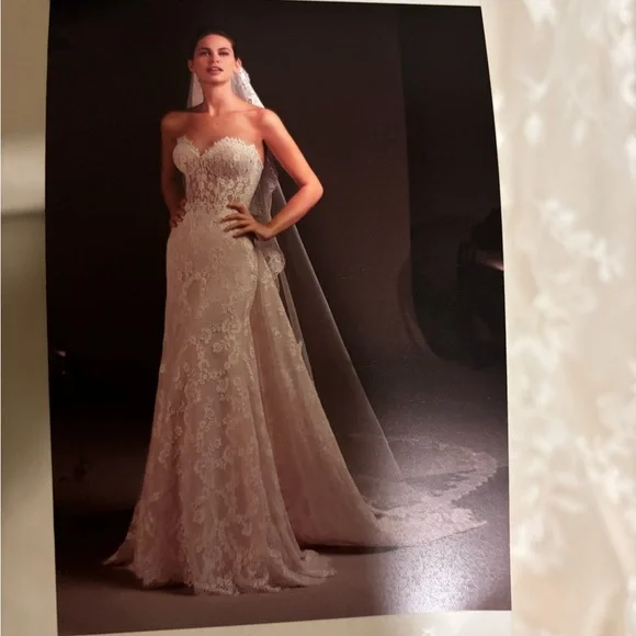 Pronovias | Dresses | Pronovias Lace Wedding Dress Size Unworn Wtags |  Poshmark
